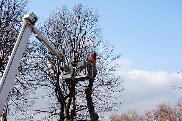 Mulching Services in Wadesboro, NC